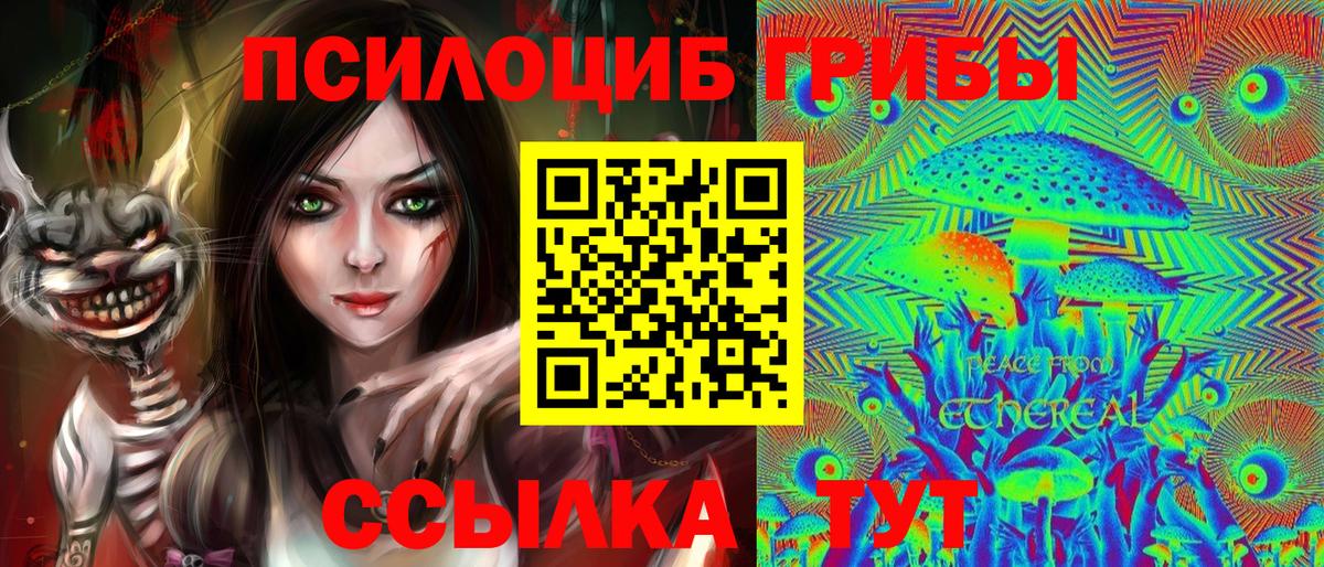 Псилоцибиновые грибы MAGIC MUSHROOMS  Вход с VPN  Псилоцибиновые грибы прущие грибы  Энгельс 