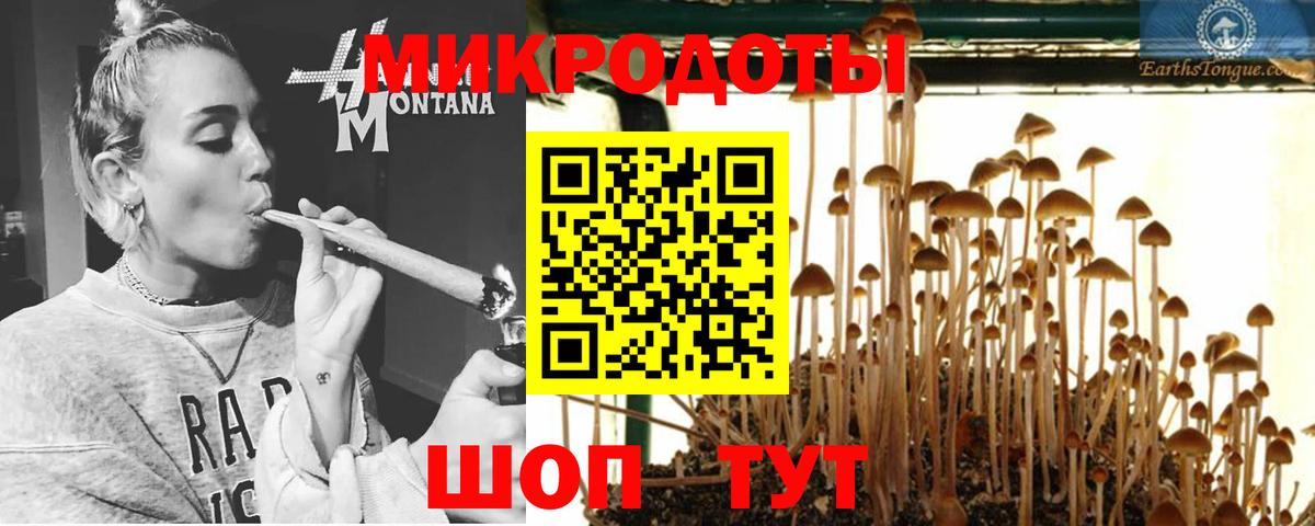 Галлюциногенные грибы GOLDEN TEACHER Энгельс